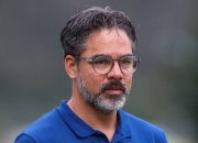 九游娱乐app下载-关于沙尔克主教练遭到解雇，球队寻求新的突破的信息