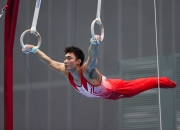 九游中国-体操比赛惊险激烈，中国选手斩获佳绩的简单介绍