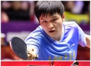 九游体育直播-瑞典队绝杀奥地利队，樊振东刷新纪录