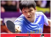 九游体育直播-瑞典队绝杀奥地利队，樊振东刷新纪录