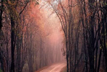 九游APP-翻云覆雨，欧国联赛强强对抗的激情碰撞