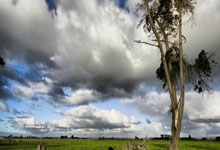 九游APP-翻云覆雨，欧国联赛强强对抗的激情碰撞