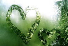 九游体育平台-绿茵密码：破译女足胜利背后的默契基因