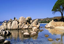 九游VIP-血统觉醒！巴斯克雄狮撕裂法国铁塔之夜