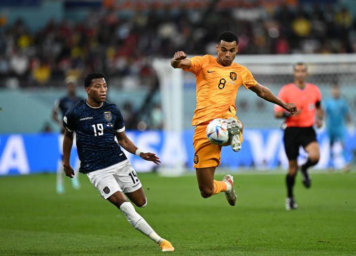 芬兰国家队备战国际比赛，力争获得胜利