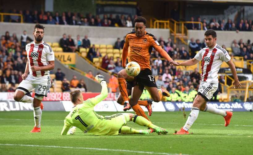 包含狼队主场告捷，球员得到球迷热情支持的词条