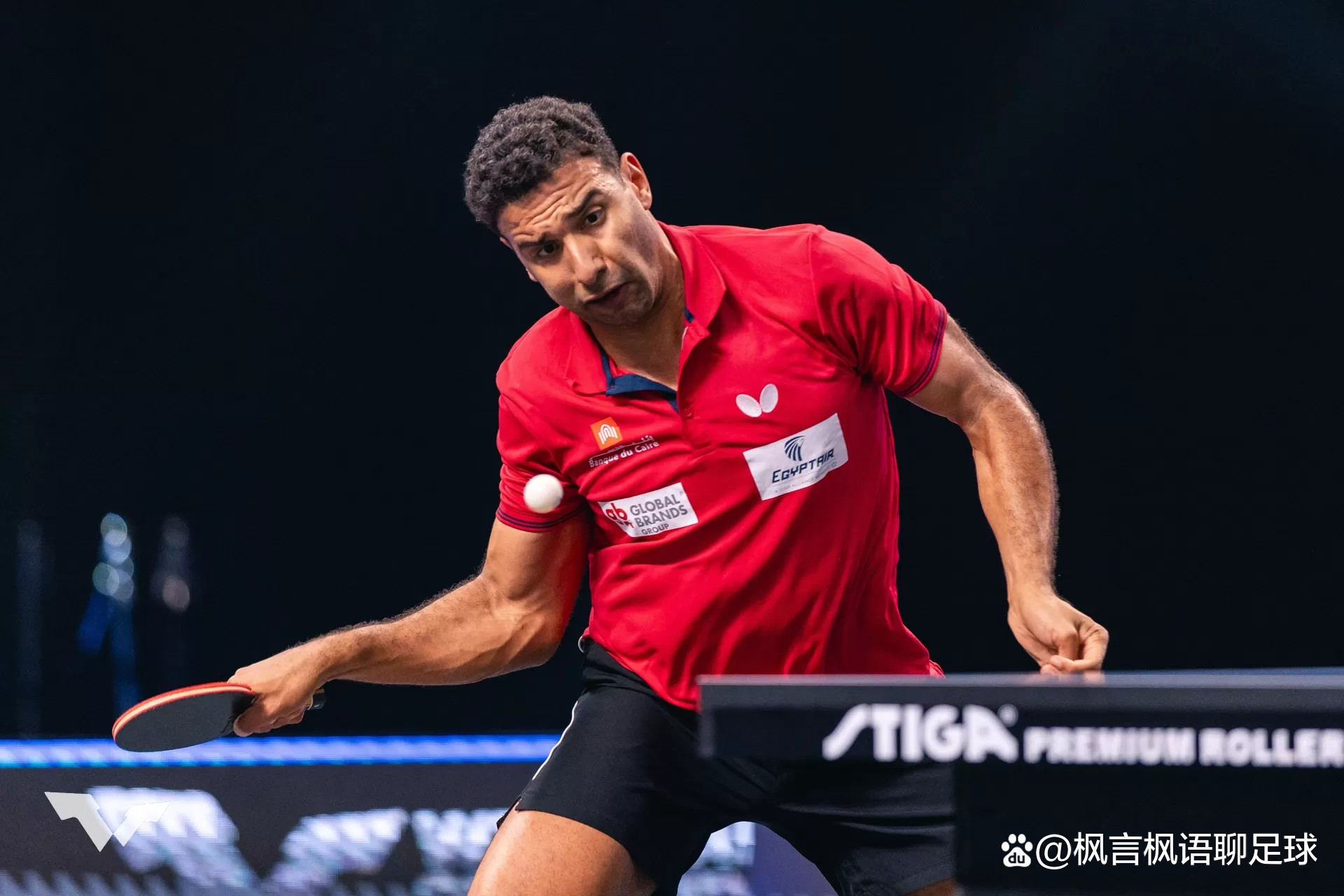 非洲杯新手崭露头角，实力获得认可